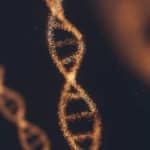 아니루드 YQYacLW8o2U unsplash 1