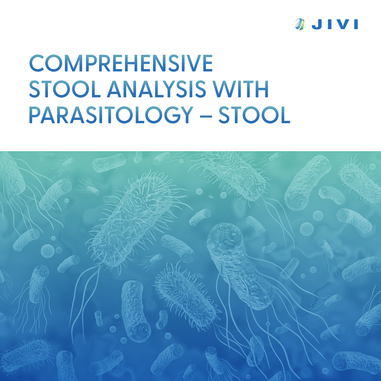 Comprehensive Stool Analysis with Parasitology – Stool