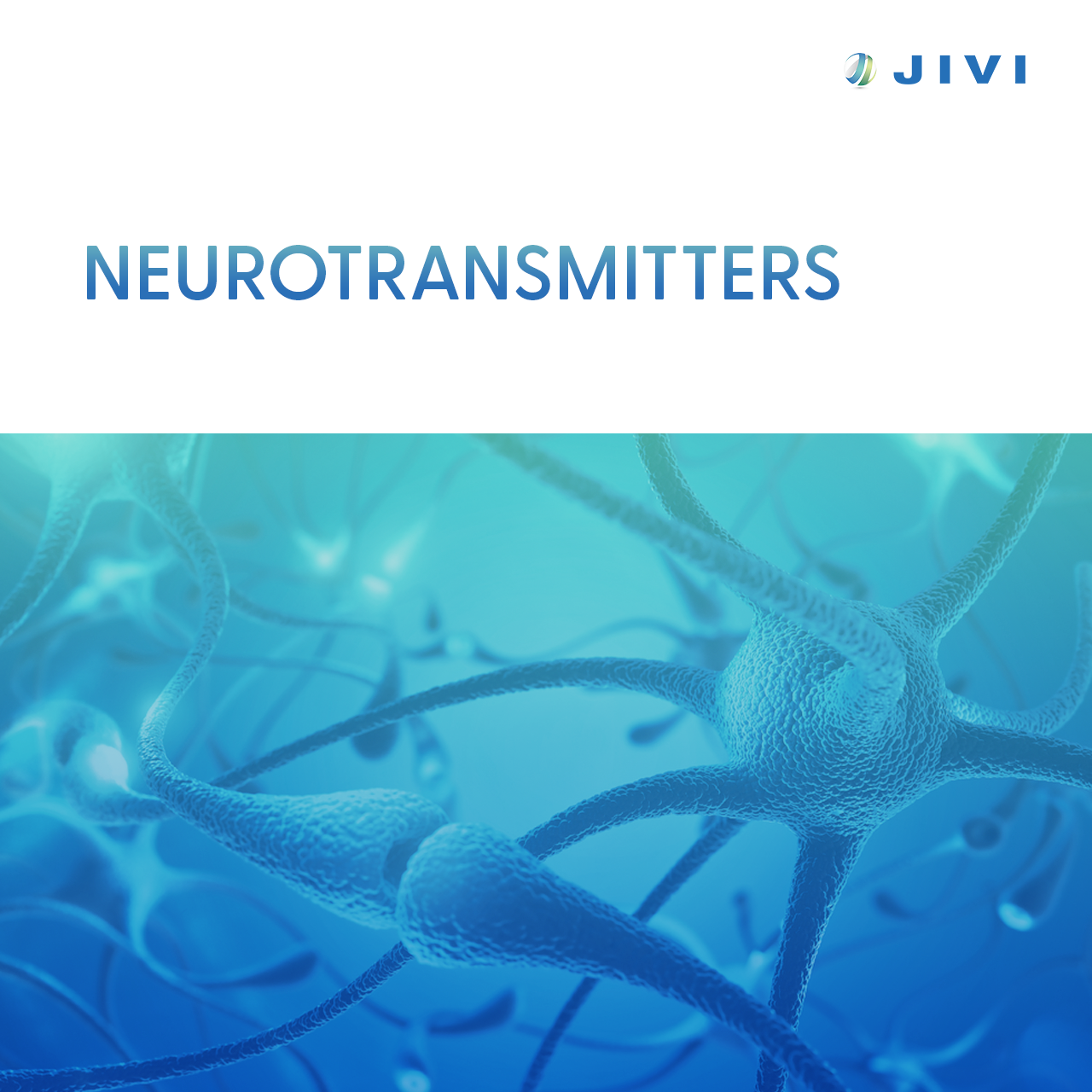 01 Neurotransmitters