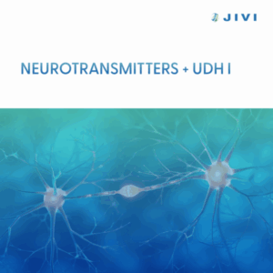 Neurotransmitters + UDH I