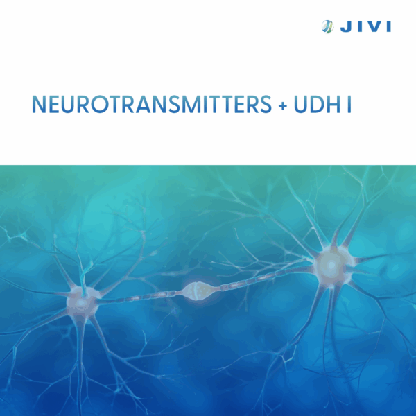 Neurotransmitters + UDH I