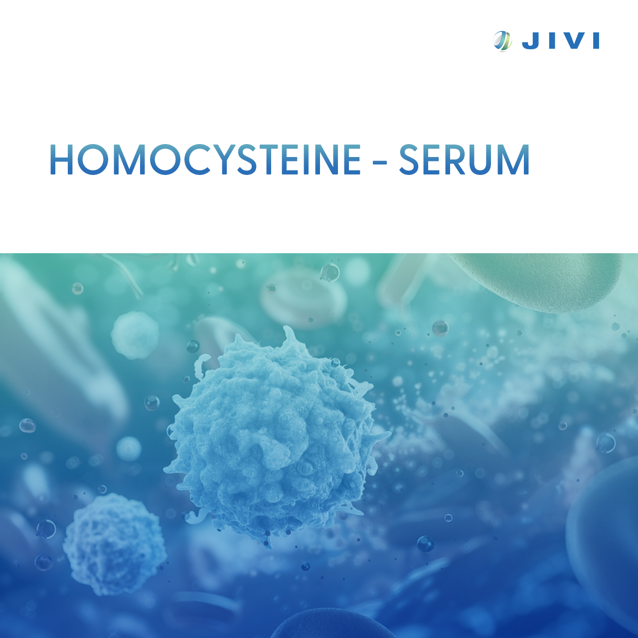 Homocysteine Test – Serum