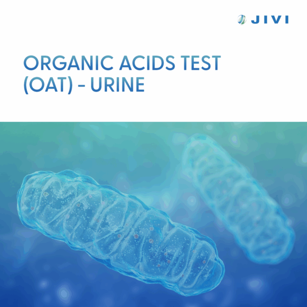 Organic Acids Test (OAT) – Urine