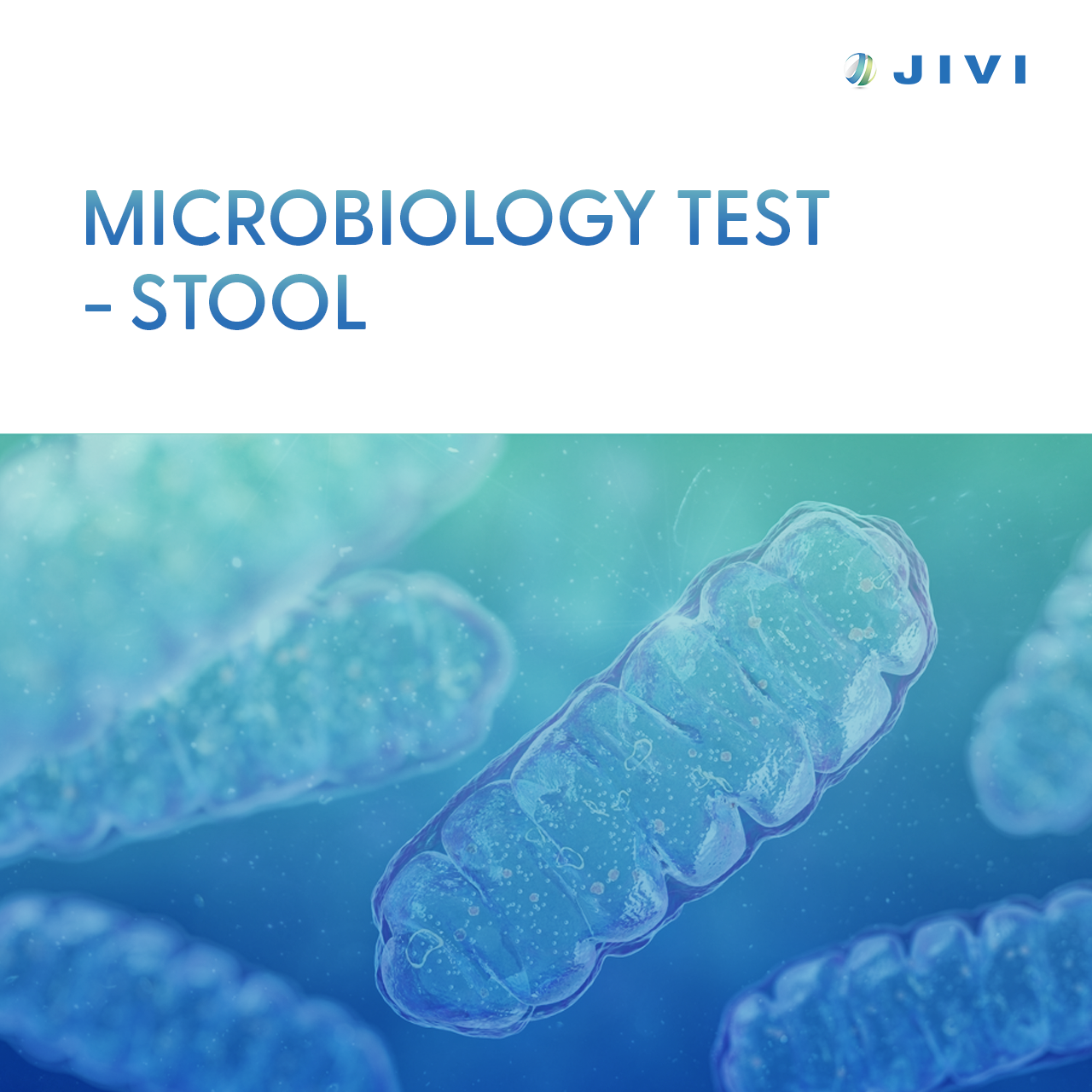 05 Microbiology Test Stool