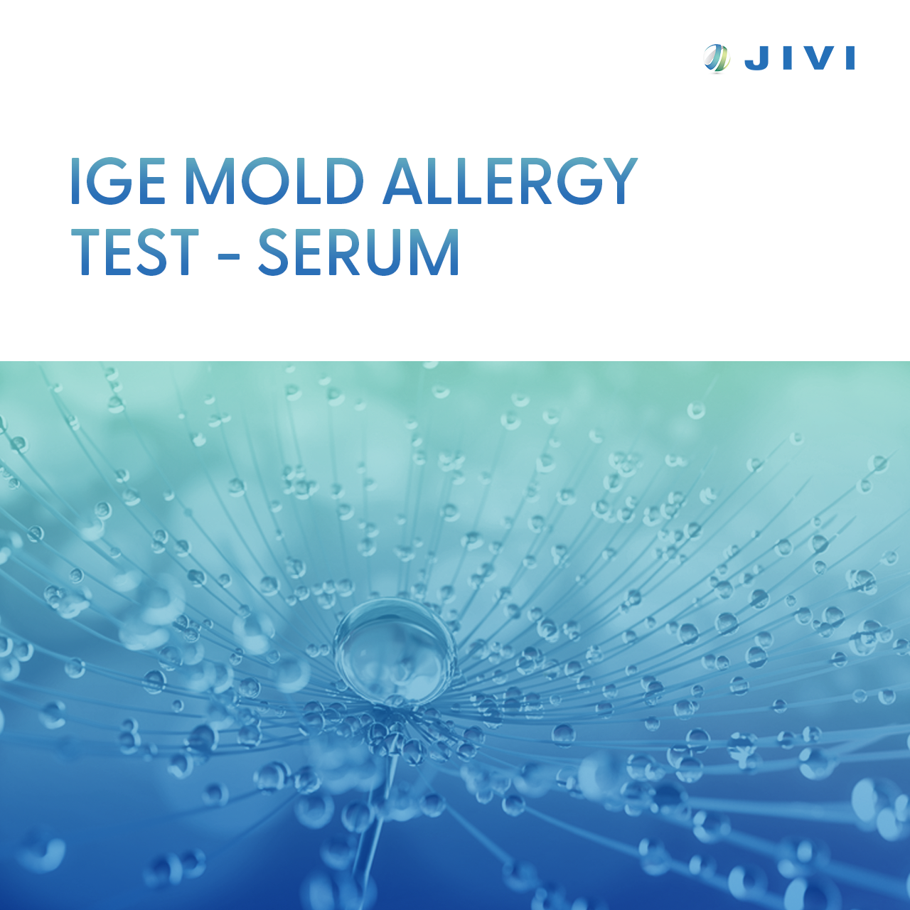 IgE Mold Allergy Test – Serum