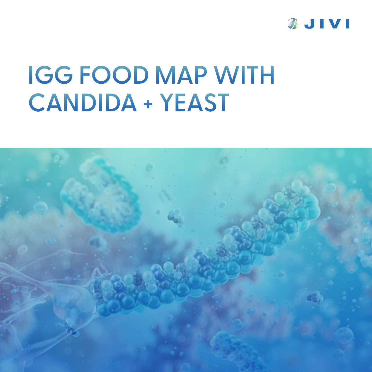 IgG Food MAP with Candida + Yeast