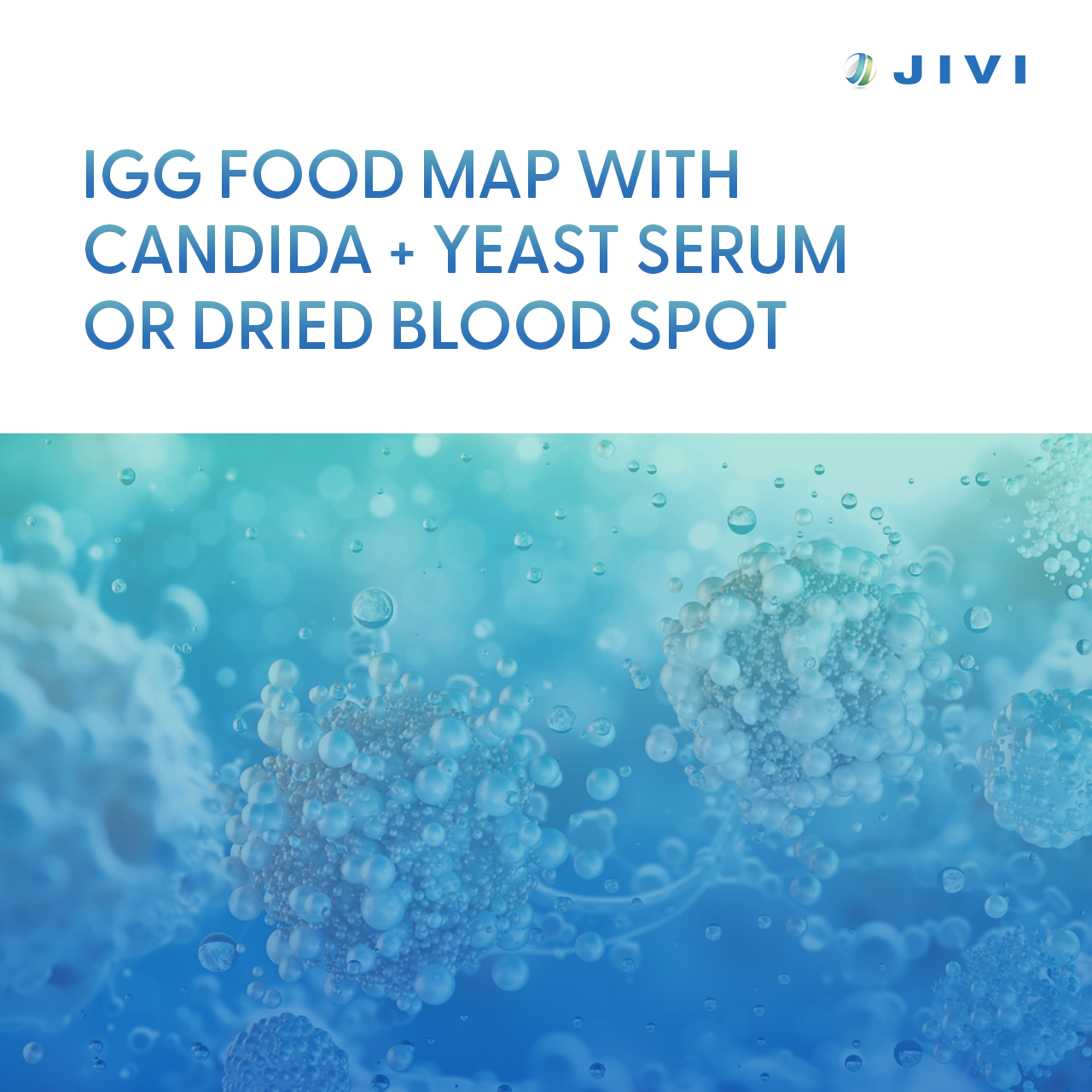 09 IGG Food Map With Candida 1