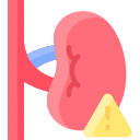 Kidney